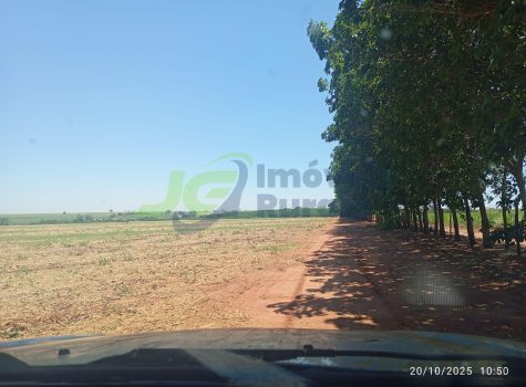 Fazenda - 105,86 - Olimpia - SP