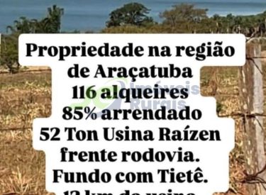 Fazenda 116 alq. - Araçatuba - SP