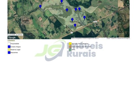 Fazenda 250 Alq- Bauru - SP - Eucalipto