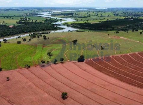 Fazenda - 50 Alq. - Sta. Fé do Sul - SP