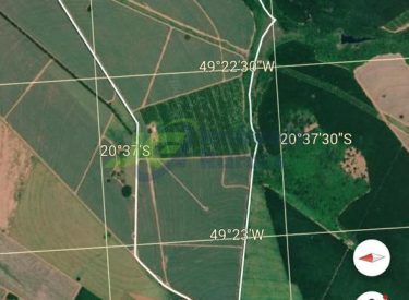 Fazenda - 61 alq. - Jales - SP