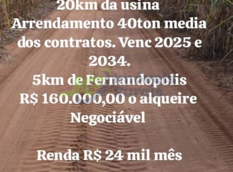 Fazenda - 69,8 alq. - Fernandopolis - SP