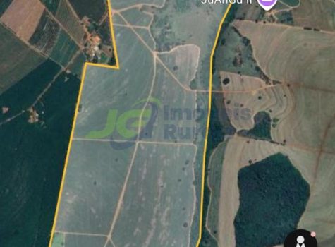 Fazenda - 79 alq. - Olimpia - SP