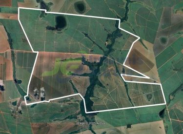 Fazenda - 810,33 Alq. - Guararapes - SP