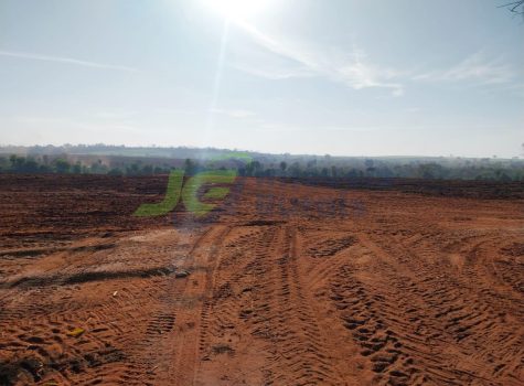 PHOTO-2025-08-06-17-30-19[1]