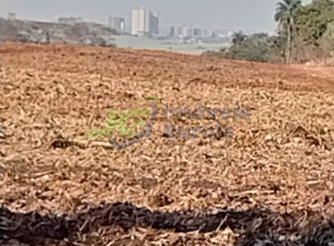 PHOTO-2025-08-06-17-30-19[2]