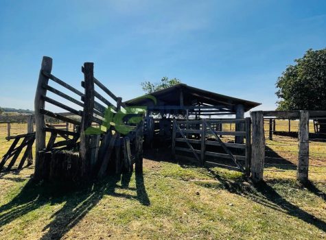 PHOTO-2025-08-25-16-35-02[1]