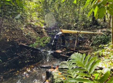 PHOTO-2025-08-25-16-35-03[1]