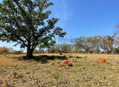 PHOTO-2025-08-25-16-35-03[2]