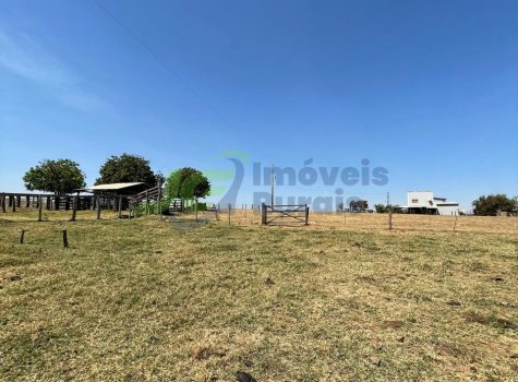 PHOTO-2025-08-25-16-35-04