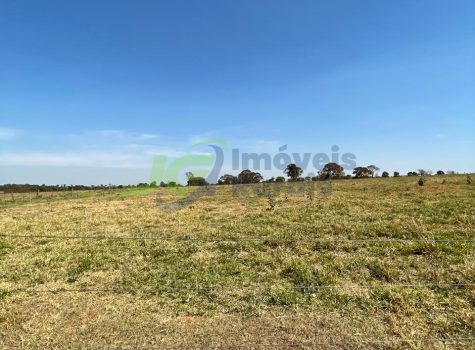 PHOTO-2025-08-25-16-35-04[1]