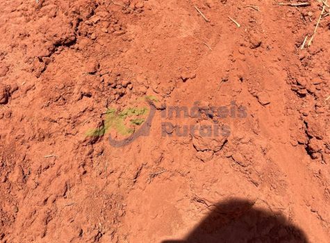 PHOTO-2025-08-25-16-35-04[2]