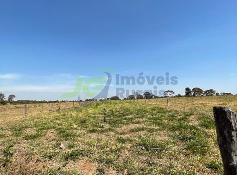 PHOTO-2025-08-25-16-35-05