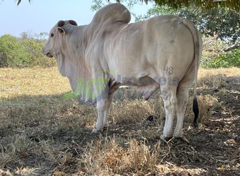 PHOTO-2025-08-25-16-35-06