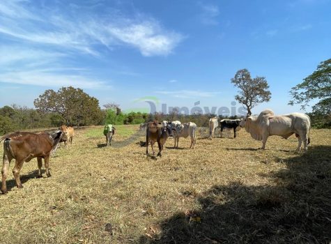 PHOTO-2025-08-25-16-35-07