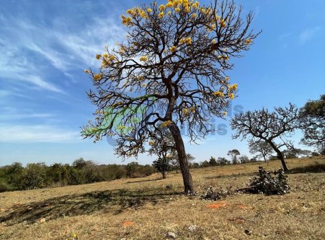 PHOTO-2025-08-25-16-35-07[1]