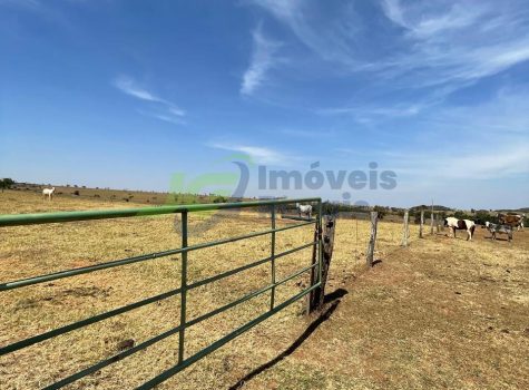 PHOTO-2025-08-25-16-35-08