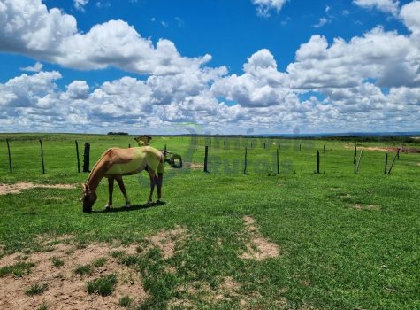 PHOTO-2025-09-27-13-42-59[1]