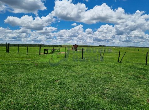 PHOTO-2025-09-27-13-43-00