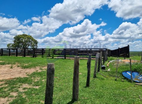 PHOTO-2025-09-27-13-43-01