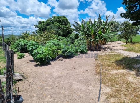 PHOTO-2025-09-27-13-43-01[1]