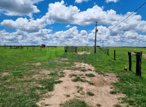 PHOTO-2025-09-27-13-43-02