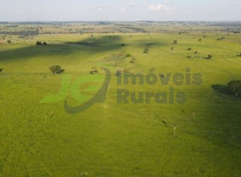 PHOTO-2025-10-24-19-14-29