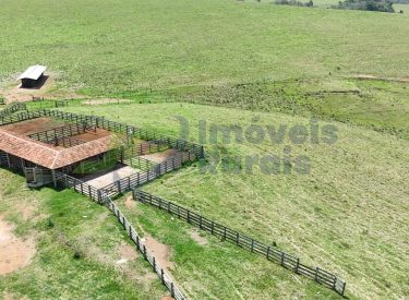 PHOTO-2025-10-27-14-46-49[1]