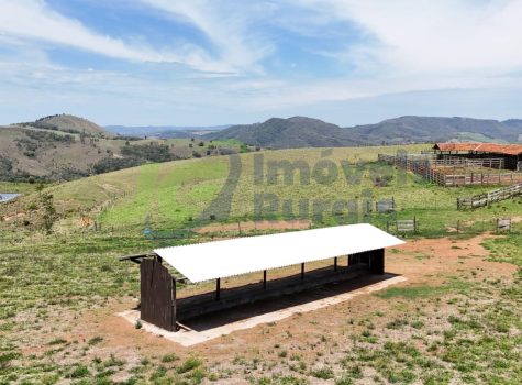 PHOTO-2025-10-27-14-46-49[3]