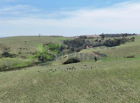 PHOTO-2025-10-27-14-46-50[2]