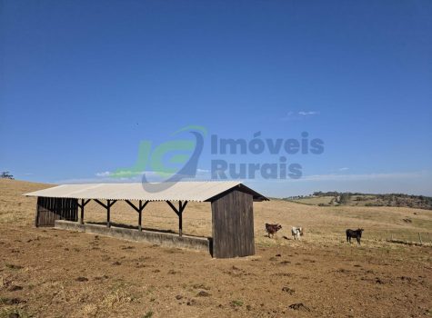 PHOTO-2025-10-27-14-46-50[3]