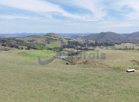 PHOTO-2025-10-27-14-46-50[4]