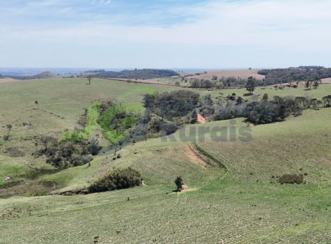 PHOTO-2025-10-27-14-46-51