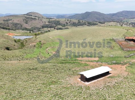 PHOTO-2025-10-27-14-46-51[1]