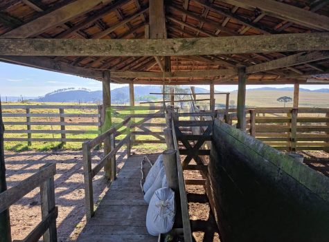 PHOTO-2025-10-27-14-46-52