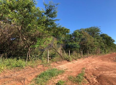 PHOTO-2025-10-28-13-01-22[1]