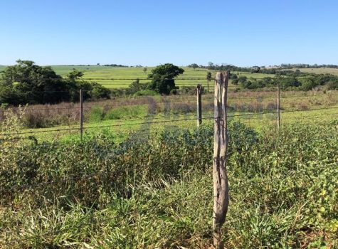 PHOTO-2025-10-28-13-01-27[1]