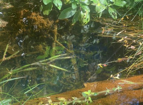 PHOTO-2025-11-19-09-20-34