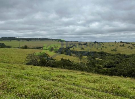 PHOTO-2025-11-19-09-21-57