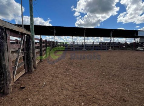 PHOTO-2025-11-19-09-22-35