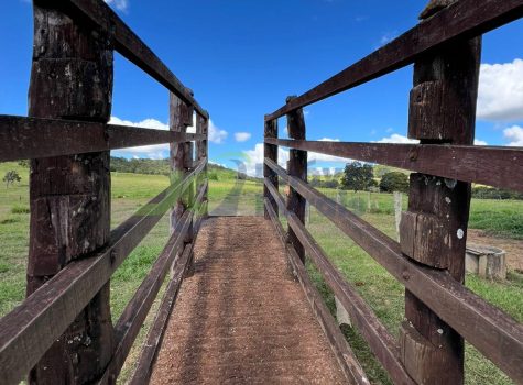 PHOTO-2025-11-19-09-22-35[1]