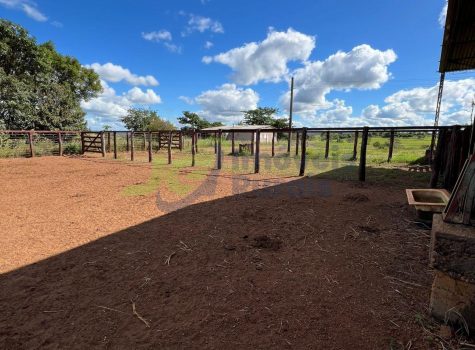 PHOTO-2025-11-19-09-22-45