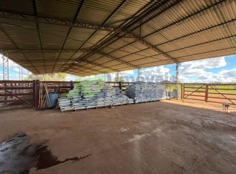 PHOTO-2025-11-19-09-23-08