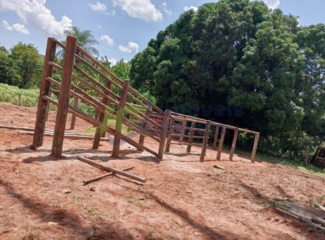 PHOTO-2025-11-27-13-00-08[1]