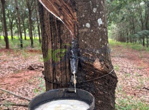 PHOTO-2025-12-10-15-00-31[1]