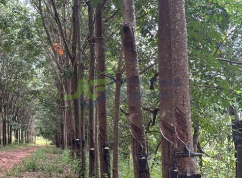 PHOTO-2025-12-10-15-00-32