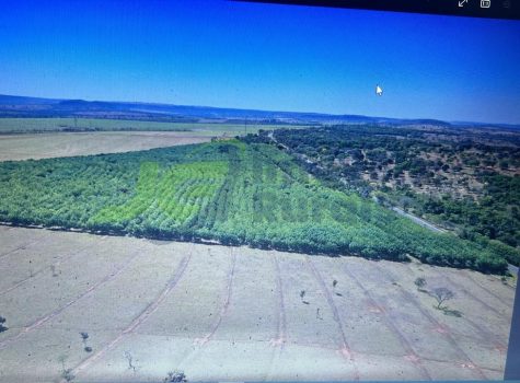 PHOTO-2025-12-10-15-00-37