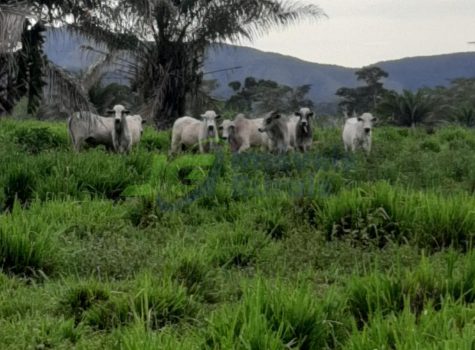 PHOTO-2025-12-19-16-40-55