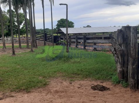 PHOTO-2025-12-19-16-40-55[1]