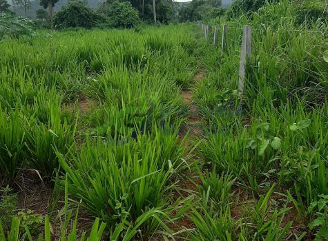 PHOTO-2025-12-19-16-40-55[2]